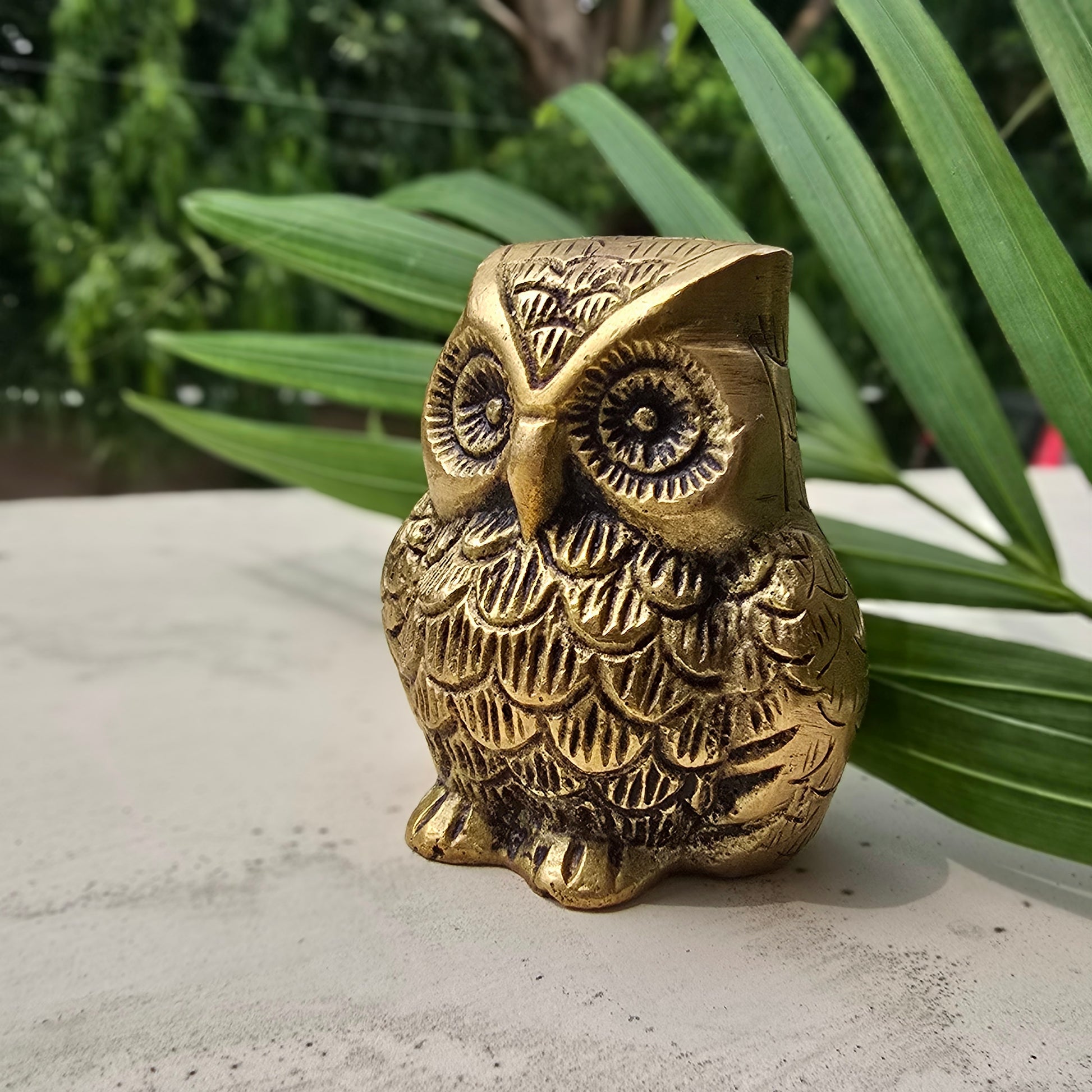 Owl Ullu Decor