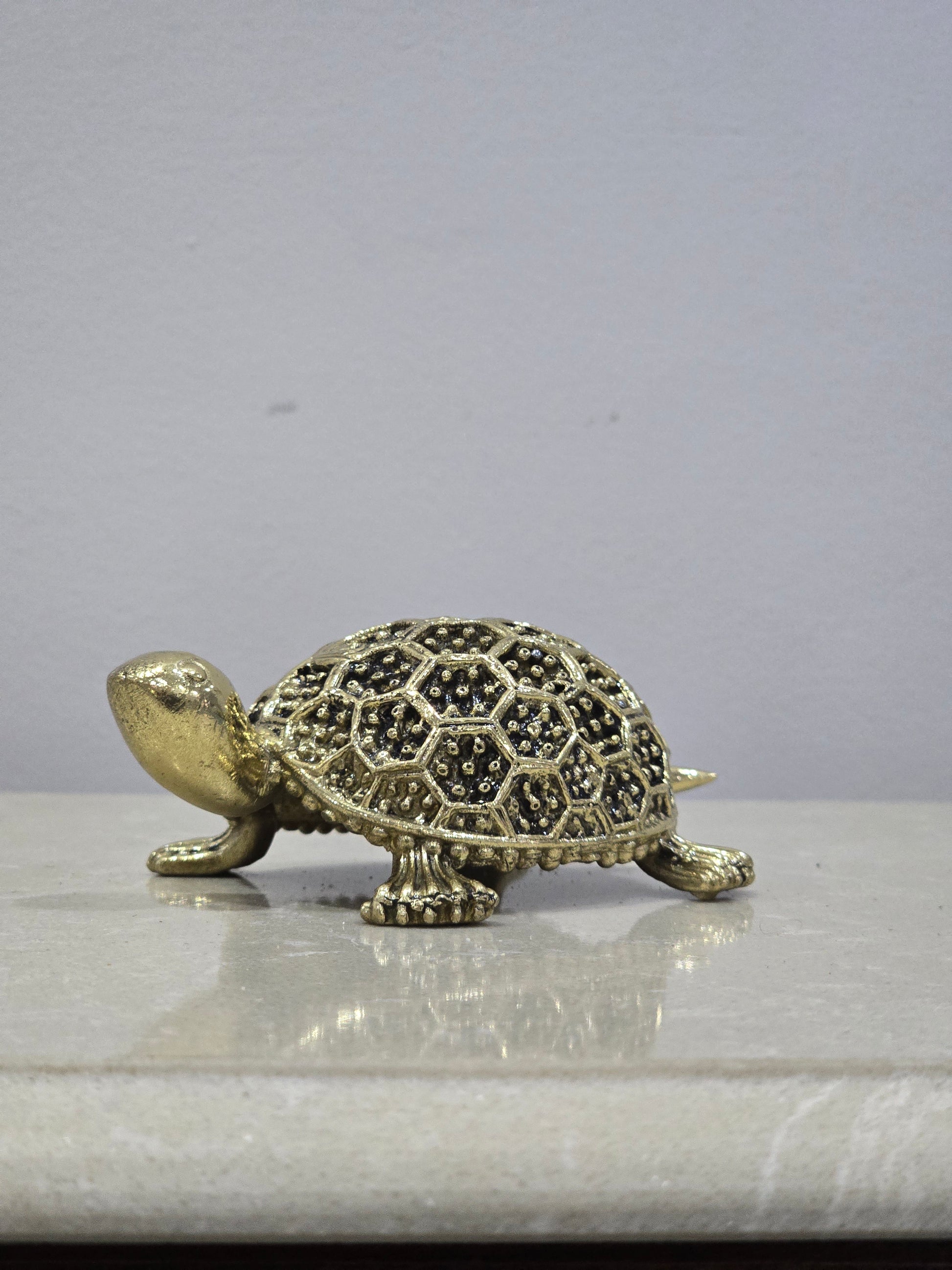 The Spiritual Living Unique Design Brass Tortoise for Good Luck for Home