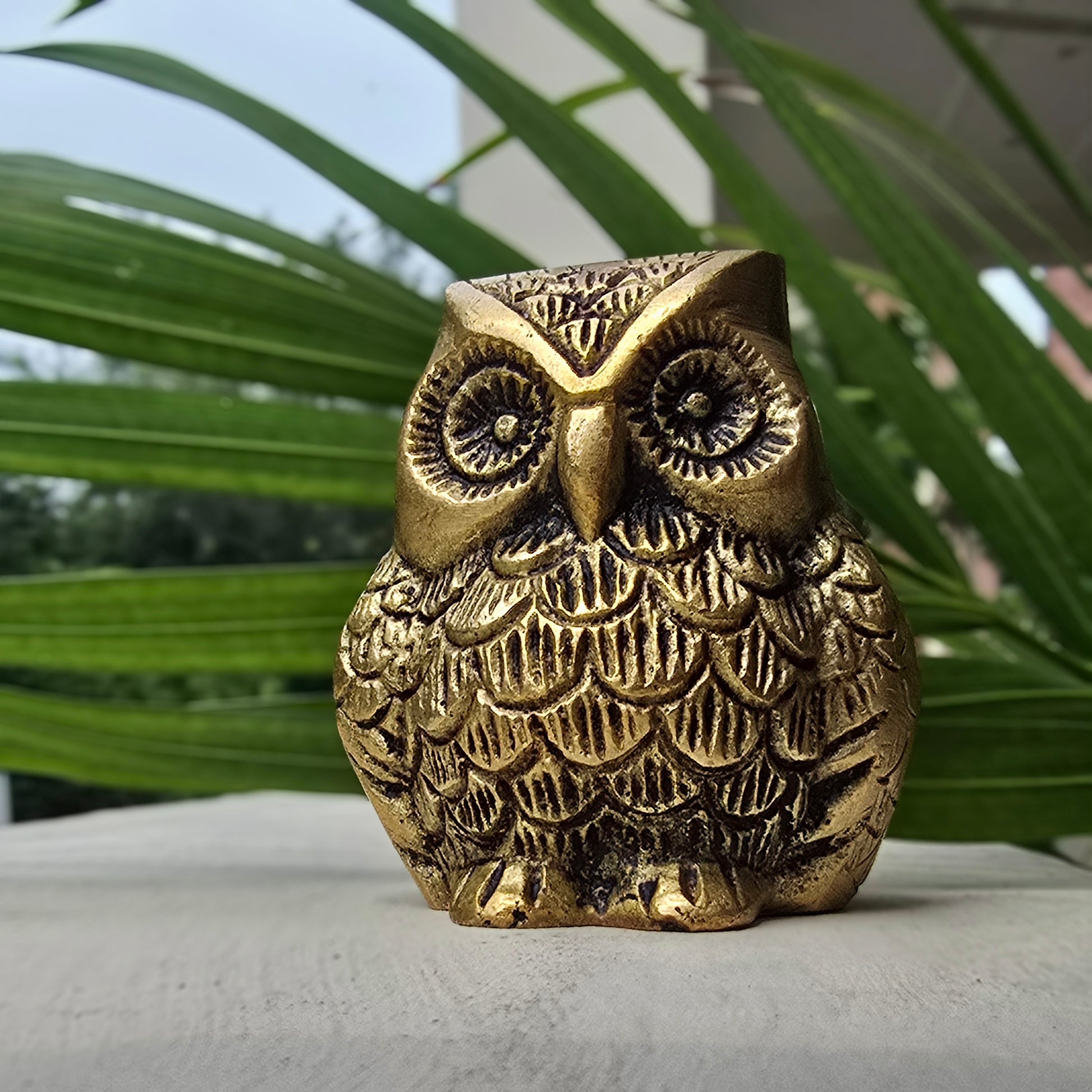 Owl Ullu Decor